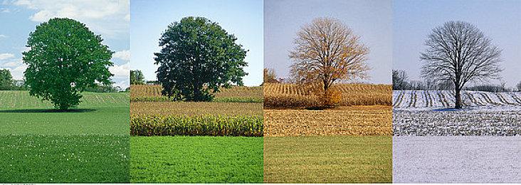 《宝可梦：晶灿钻石＆明亮珍珠》造势电视广告开播